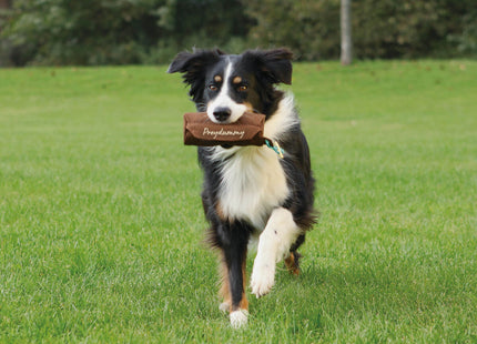 Canvas-Brauner Trixie-Beutel für interaktives Hundetraining