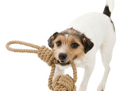 Trixie BE NORDIC Spieltau mit Ball - hochwertiges Spielzeug für Hunde