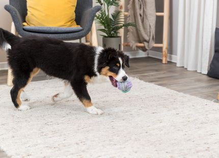 Trixie Junior Knoten-Ball aus Tau mit einem Durchmesser von 9 cm