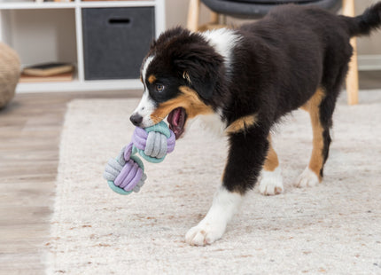 Trixie Junior Hantel Tau 22 cm - Ideales Spielzeug für junge Hunde