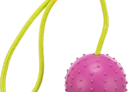 Trixie Gummiball am Seil für Hunde Spass und Training