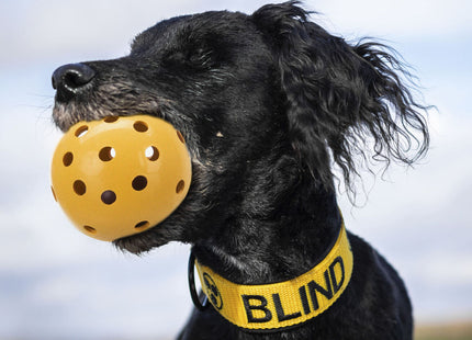 Trixie Lochball mit Schelle aus Naturgummi, Ø 7 cm - Spielzeug für Katzen
