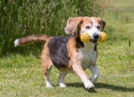 Trixie Hantel mit Schelle aus Naturgummi, 17 cm - hochwertiges Hundespielzeug für aktives Spiel und Training