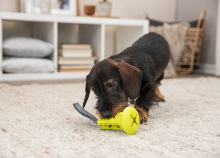 Trixie Snack Glocke am Gurt aus TPR/Polyester