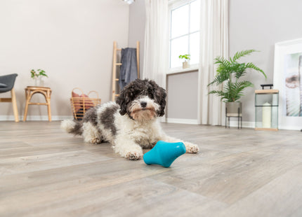 Interaktiver Snack-Kreisel aus Naturgummi in Petrol für glückliche Haustiere