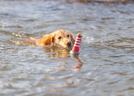 Trixie - Aqua Toy Leuchtturm Wasserspielzeug für Hunde