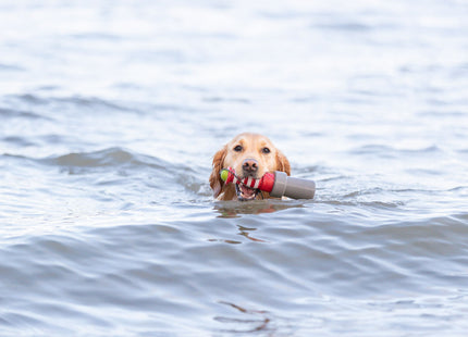 Trixie - Aqua Toy Leuchtturm Wasserspielzeug für Hunde