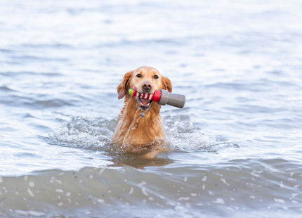 Trixie - Aqua Toy Leuchtturm Wasserspielzeug für Hunde