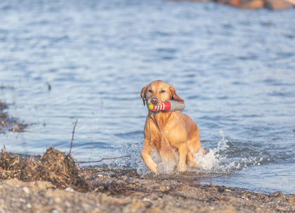 Trixie - Aqua Toy Leuchtturm Wasserspielzeug für Hunde