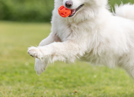Trixie Wabenball - Hundespielzeug, TPE, orange, ø6cm