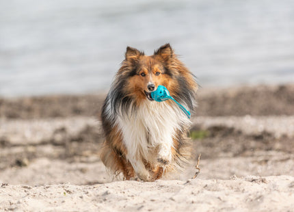 Trixie Wabenball am Seil – flexibles Hundespielzeug