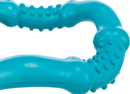 Schwimmender blauer Gummiring für Hunde von Trixie