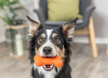Trixie Knisternder Knochen aus Naturgummi