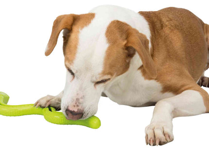 Trixie Snack-Snake aus TPR für Hunde - langlebiges Spielzeug für Snacks und Zahnpflege