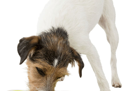 Trixie Lick'n'Snack Platte aus TPR/PP für Haustiere