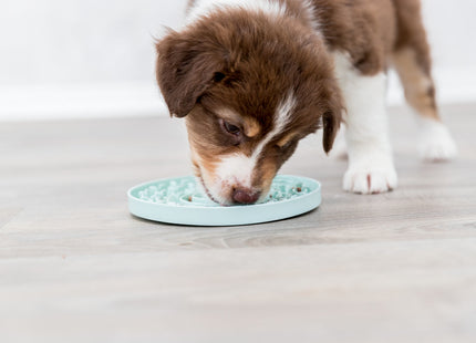 Trixie Junior Schleckplatte - mint, ø15cm