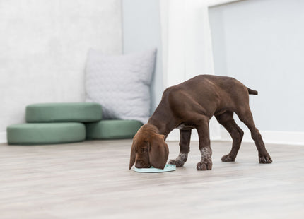 Trixie Junior Schleckplatte - mint, ø15cm