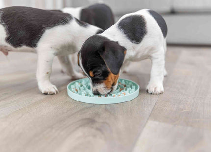 Trixie Junior Schleckplatte - mint, ø15cm