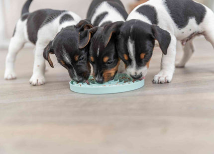 Trixie Junior Schleckplatte ø15 cm mint