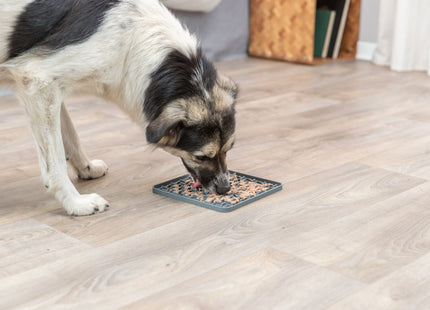 Silikonmatte in Dunkelgrau für interaktives Snackvergnügen von Trixie