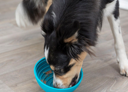 Trixie Lick'n'Snack Bowl aus Silikon mit einem Durchmesser von 16 cm