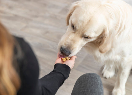 Trixie Backmatte mit Knochen aus Silikon