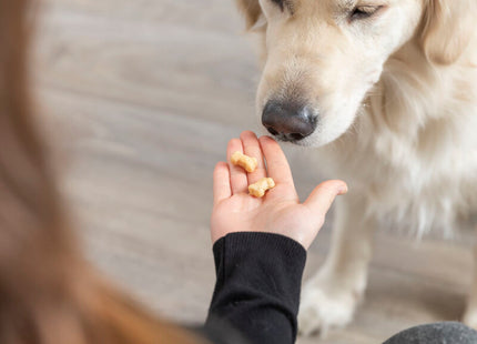 Trixie Backmatte mit Knochen aus Silikon