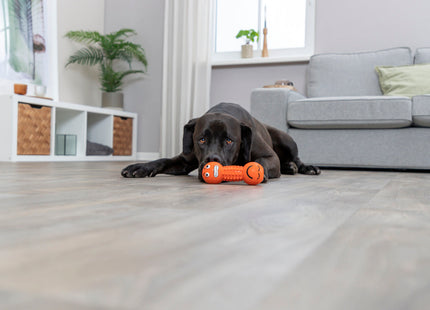 Trixie Smiley-Hantel aus Latex, 19 cm - lustiges Hundespielzeug mit Smiley-Gesicht für stundenlangen Spielspass