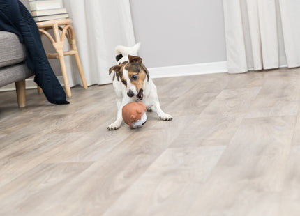 Trixie Hundespielzeug aus Latex, 14 cm - strapazierfähiges und buntes Spielzeug für Hunde