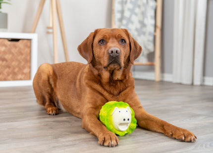 Latex-Schweinchen in Hellgrün für stundenlangen Spielspass