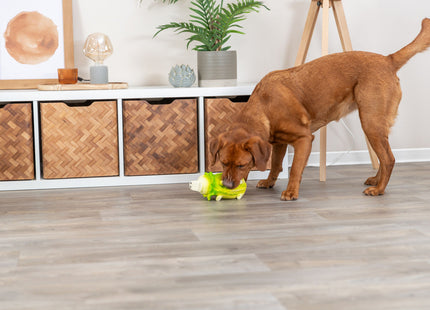 Latex-Schweinchen in Hellgrün für stundenlangen Spielspass