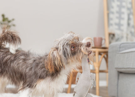 Trixie Salamander - Hundespielzeug aus Leder 37cm