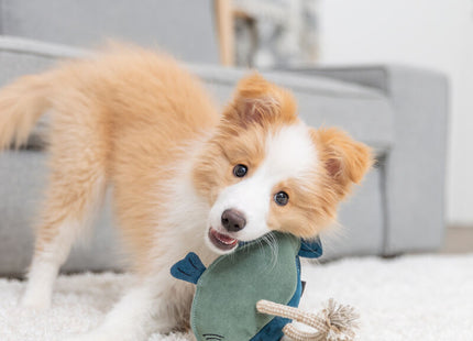 Trixie Fisch mit Tau - Leder, 28 cm