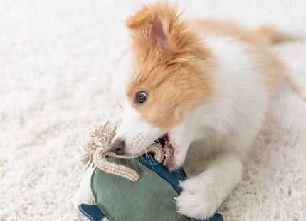 Trixie Fisch mit Tau - Leder, 28 cm