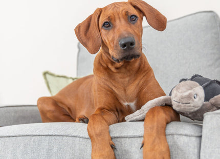 Trixie BE NORDIC Schildkröte Hauke - Stoffplüsch 34cm