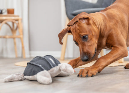 Trixie BE NORDIC Schildkröte Hauke - Stoffplüsch 34cm