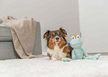 Trixie Froschkönig - Plüschspielzeug, grün, 42 cm