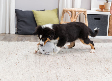 Trixie Junior Bär - Plüsch, 14 cm, braun