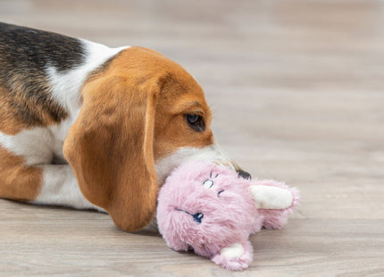 Trixie Junior Hase Ring - Plüschspielzeug 14cm