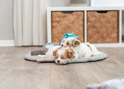 Trixie Junior Faultier Heartbeat – Plüsch, 34 cm