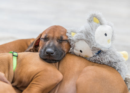 Trixie Junior Schlenkertier – Plüschspielzeug 33 cm