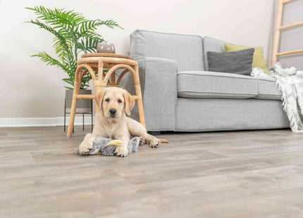 Trixie Junior Schlenkertier – Plüschspielzeug 33 cm