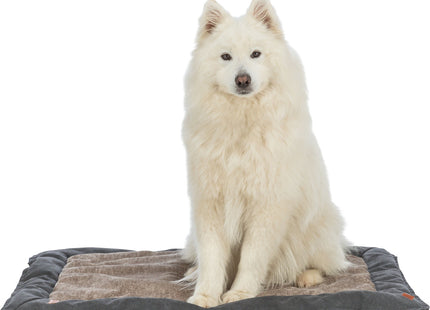 Trixie BE NORDIC Liegematte – eckig schwarz/sand