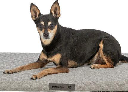 Trixie Vital Matratze Noah - orthopädisches Hundebett hellgrau