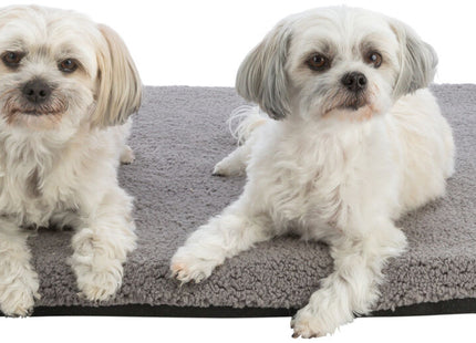 Trixie Vital Liegematte Bendson - orthopädische Hundematte hellgrau