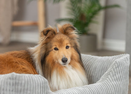 Trixie Vital Bett Jonna - orthopädisches Hundebett grau