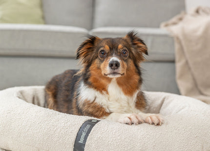 Trixie Vital Bett CityStyle - ovales Hundebett creme