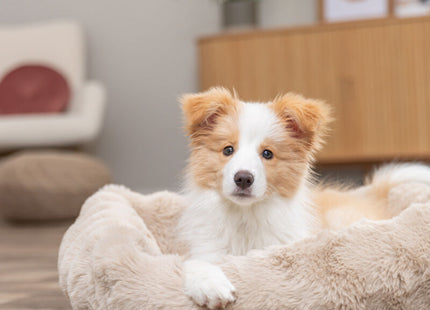 Trixie Bett Elli - eckig, sand, 60×50 cm