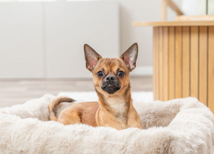 Trixie Bett Elli - eckig, sand, 60×50 cm