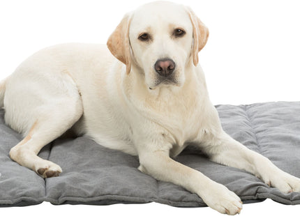 Trixie Reisedecke Leni – Reisedecke grau 80x60cm